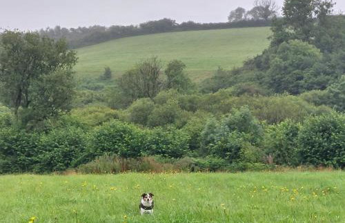 The Hive - Unique log cabin with wood burning stove - Foto 34