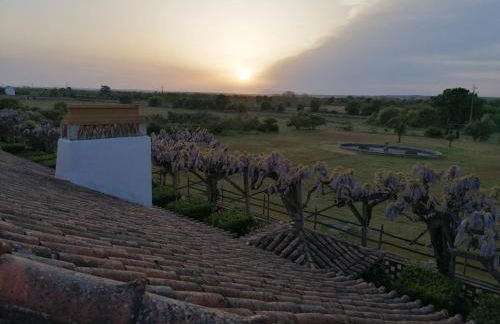 Quinta do Casalinho - Benfica do Ribatejo - Foto 5