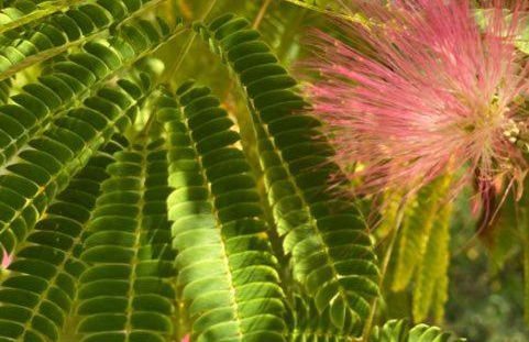 Hameau du Soleil - Papillon - Foto 26