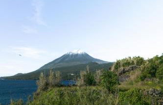 Picos House - Photo 66