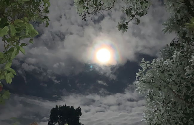 TIPS Vacation - Foto 53