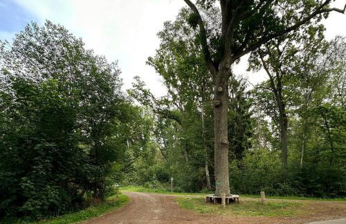 Tiny House mit Saunafass im Wendland - Foto 18