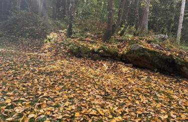 Serene Cabin between Fayetteville& Summerville WV - Foto 73