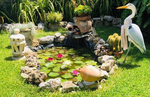 Il Vicolo Palinuro - Photo 10