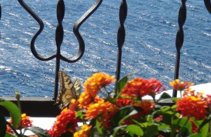 Villa Arca Adriatica - Foto 36