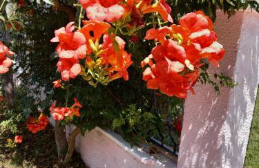 XxL Ana Biograd na Moru do 22 gosta - Foto 78