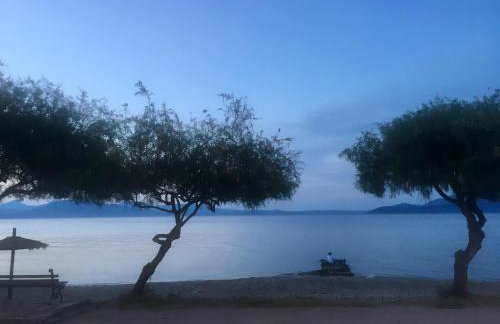 Eratous Seaside House - Foto 28