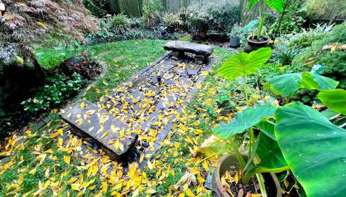 Brooklyn, Garden, Spacious, Great Location, 1 stop to Manhattan - Foto 5, Garden