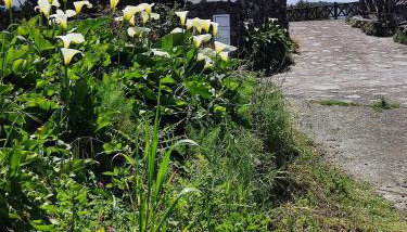 Casa Rural Monte del Agua - Foto 2