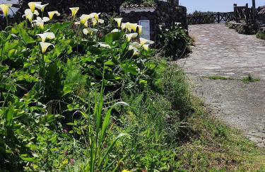 Casa Rural Monte del Agua - Photo 2