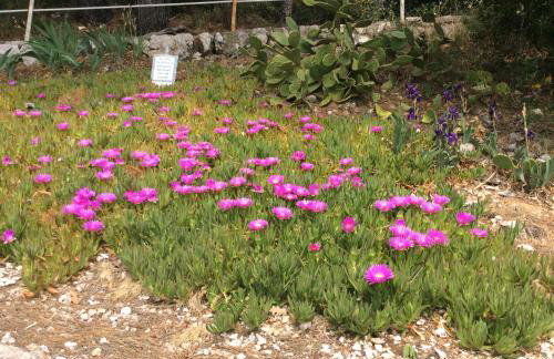 Apartment Sanja - Foto 31