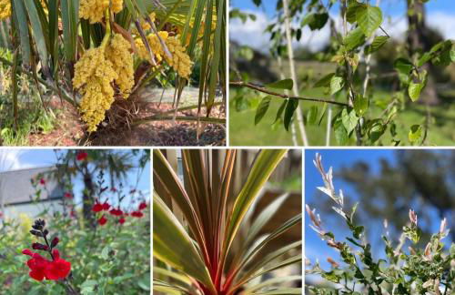 Ty Glazu Villa neuve grand confort, jardin 1600m2, GR34, criques, restos et port Doelan à pied - Foto 6