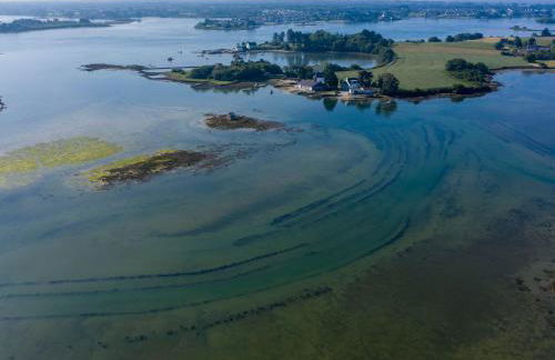 Gîte Naturia - Chaumière de Berringue - Foto 21