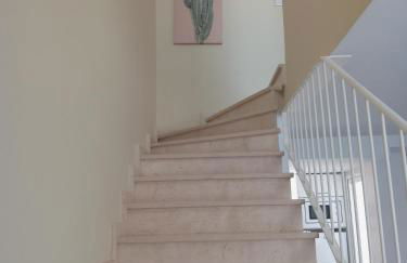 AmaNacer Oliva - Photo 12