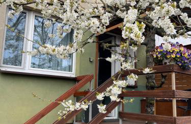 Studio pod Orzechem - Foto 1