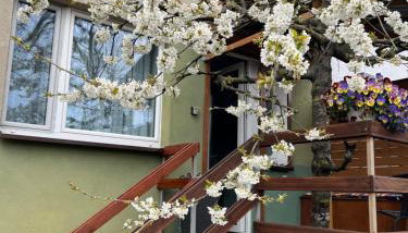 Studio pod Orzechem - Foto 1