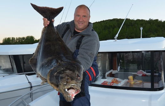 Arctic Seasport - Foto 53