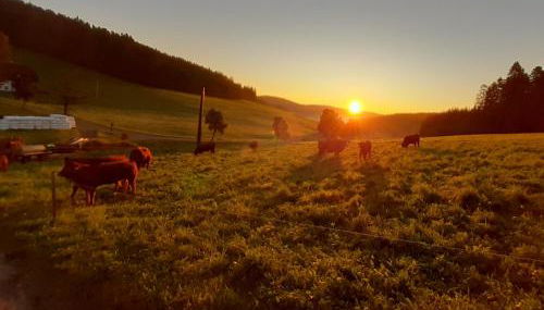 Oberengenbachhof - Foto 4