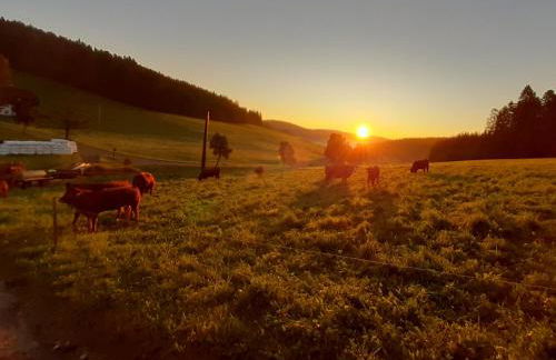 Oberengenbachhof - Foto 4