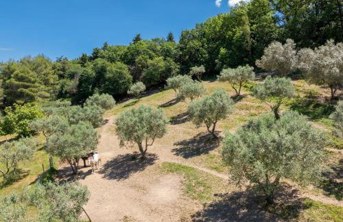 Podere Del Botruccio - Foto 13