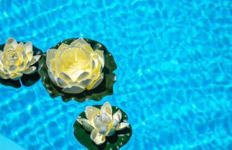 RODI BLUE apartments - Foto 5
