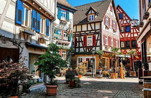 Altstadtnest - Foto 22