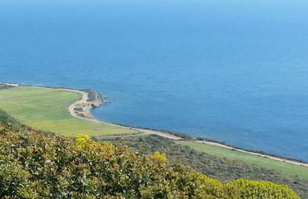 Tiny House - Foto 30