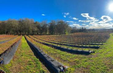 Quinta de Requeixo - Foto 64