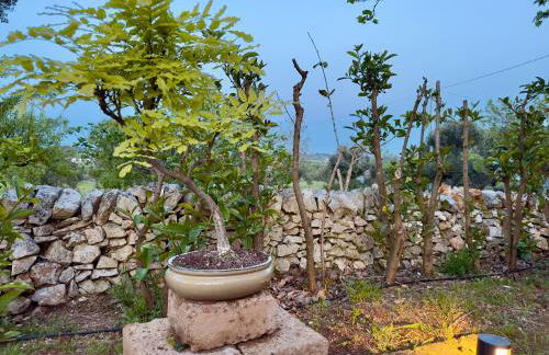 Sto al Trullo - Historic Trullo with Private Jacuzzi and Sauna - Foto 33