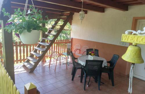 Paun - Photo 12