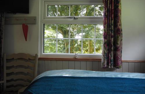 The Owl Hoot - Foto 8