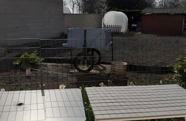 Les Coquelicots En Baie De Somme - Foto 12