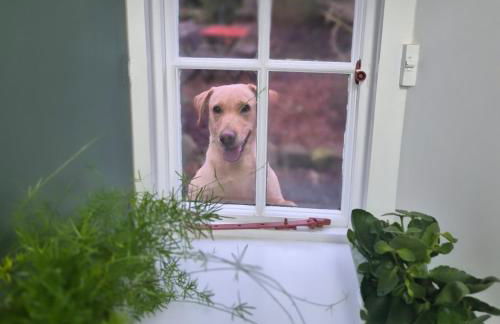 Gorgeous boutique off-grid cottage near Peebles - Foto 76
