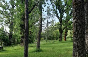 Apartamento LA MONTESA - Foto 58