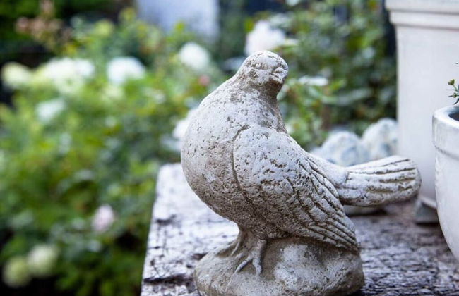 Liefde Voor de Schlei - Photo 3