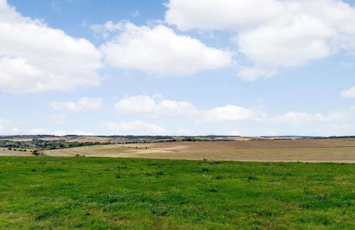 1 Pheasant - Photo 21