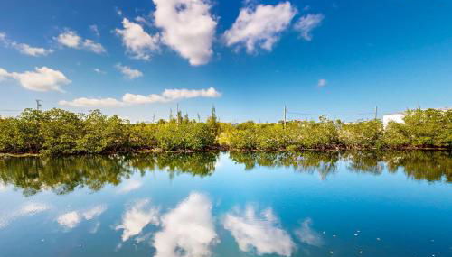 Beachside Fantasy - Foto 3