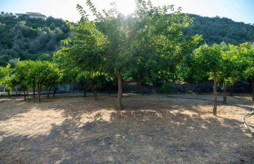 Davis Studios & Apartments - Ήλια Βόρειας Εύβοιας - 1' από τη θάλασσα - Foto 42