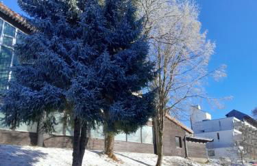 Ferienwohnung Marina in Sankt Englmar, Bayerischer Wald, familienfreundlich - Foto 21