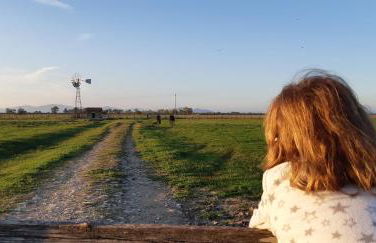 Bio Agriturismo Le Giunchiglie - Foto 33