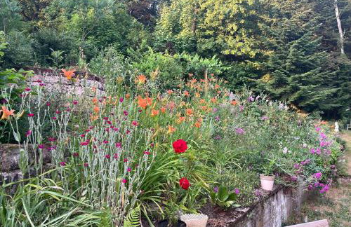 Apartment Waldidyll - Foto 15