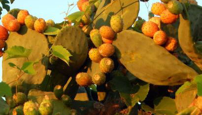 Eftichia Apartment - Foto 3