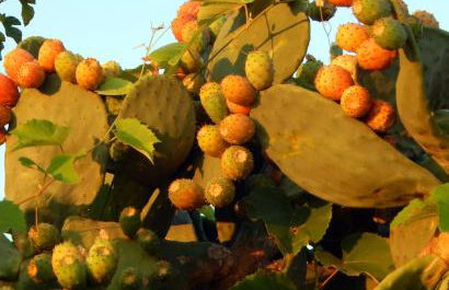 Eftichia Apartment - Foto 3