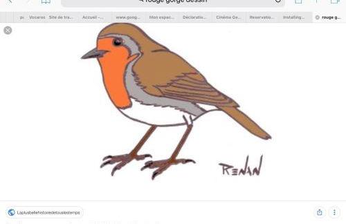 La MAISON du ROUGE GORGE - Foto 17