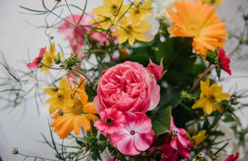 Hof Osterholz - Foto 12