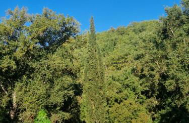 Molino di Cogno - Foto 58