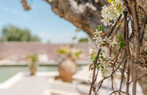 Le Giarre - Villa Con Piscina - Foto 28