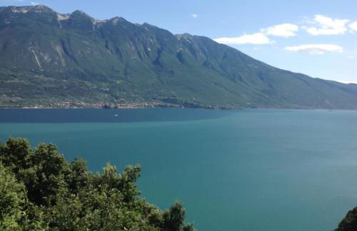 Casa Bine - Photo 62