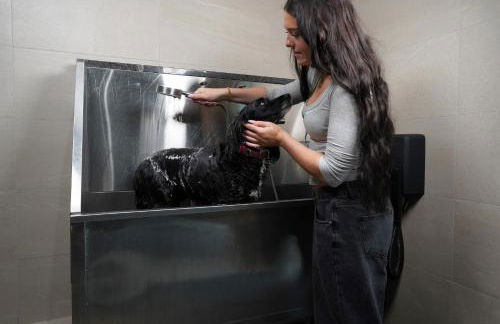 Rock Mill Studio Apartment 9 - Photo 26