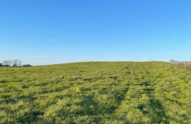 Neu möbliertes 1 - Zimmerapartment mitten in der Natur - Foto 13